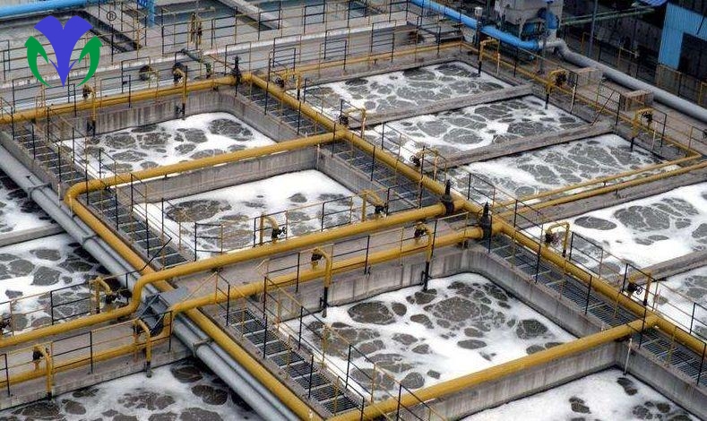 bf79ab5b8db465581485a96efdfdf80f