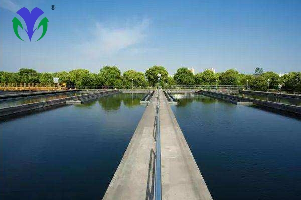 2c2a1a2a152f0442e8e83e87d15fc36a